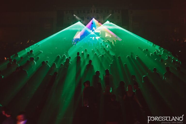 Winterstory of Forestland · 8
